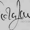 Nicola Lang Photography