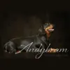 Andybram Photography