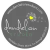 Dandelion Studio