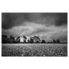 David Islip Photography