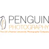 Penguin Photography