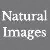 Natural Images